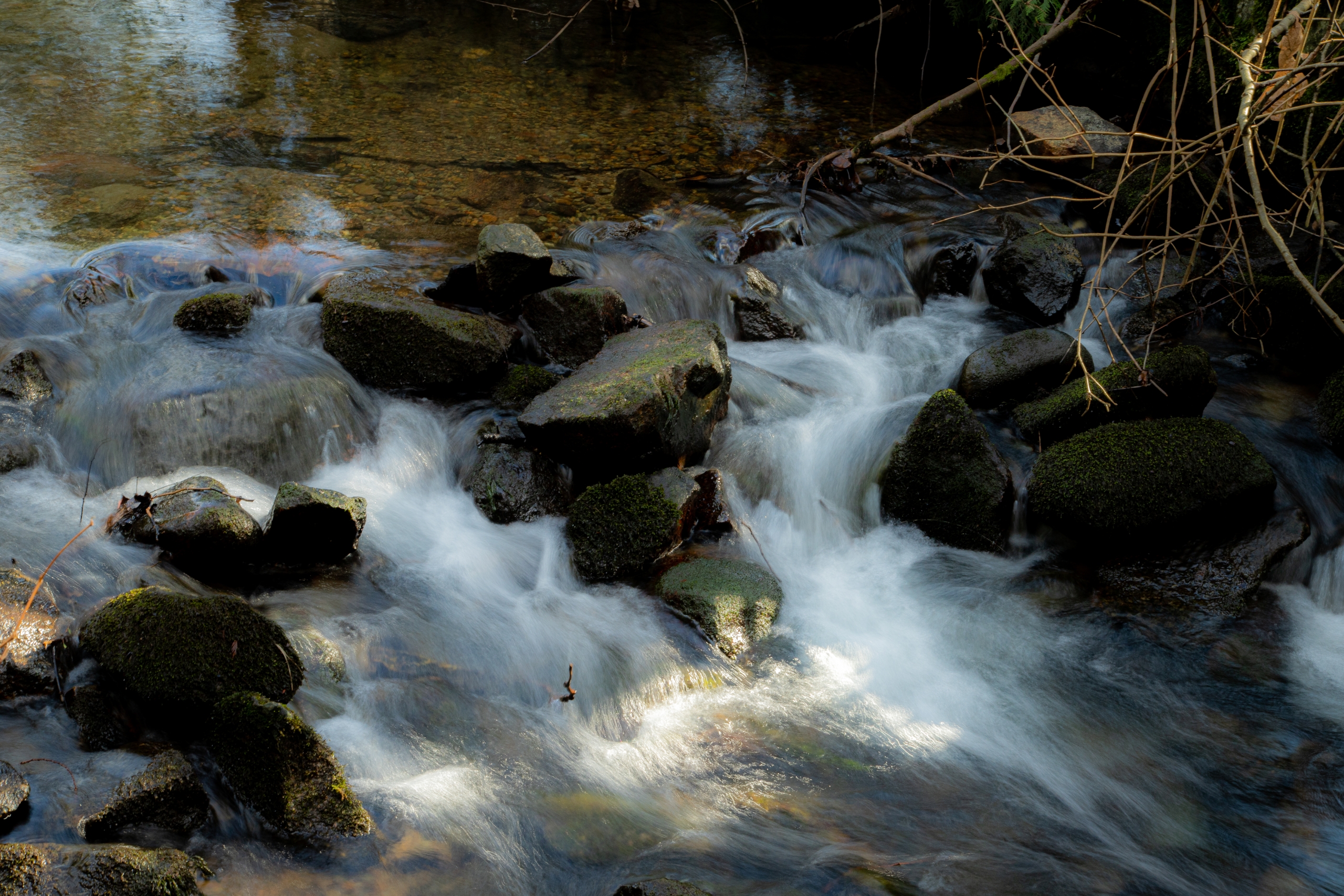 Hoy-Scott-Creek-Abby-francis-photo-scaled