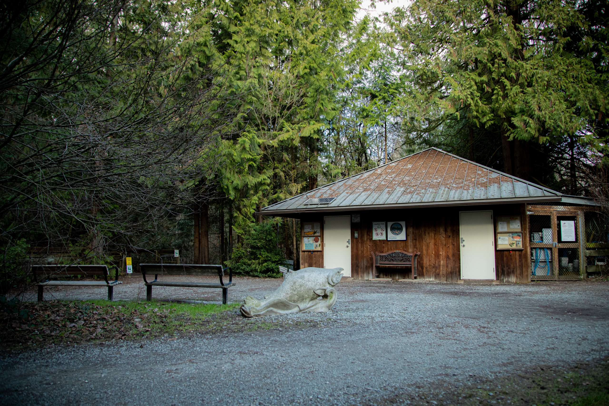 hoy-scott-watershed-society-hatchery-abby-francis-photo-scaled